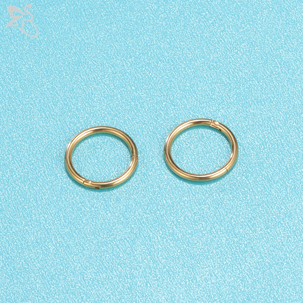 ZS 1 PC 20/18/16G Hoop 316L Edelstahl Nasenring Männer Runde Clicker Ohrknorpel Tragus Helix Piercing Schmuck 6/7/8/9/10mm – Detail 5