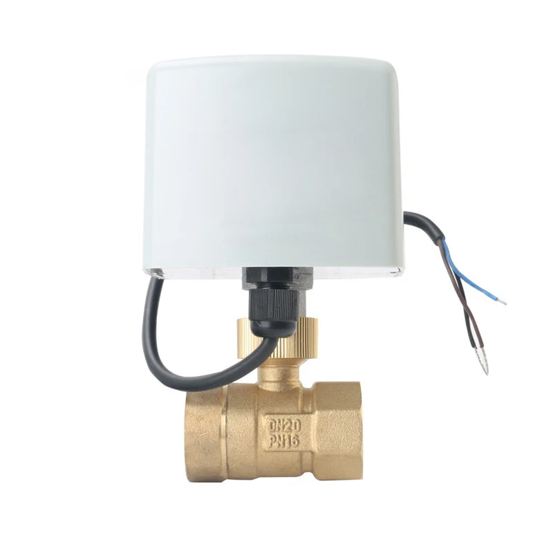 Imagem -04 - Válvula de Esfera Motorizada 220v 12v 24v 3-wire Controle Bronze Válvula de Esfera Elétrica Torque Grande 1