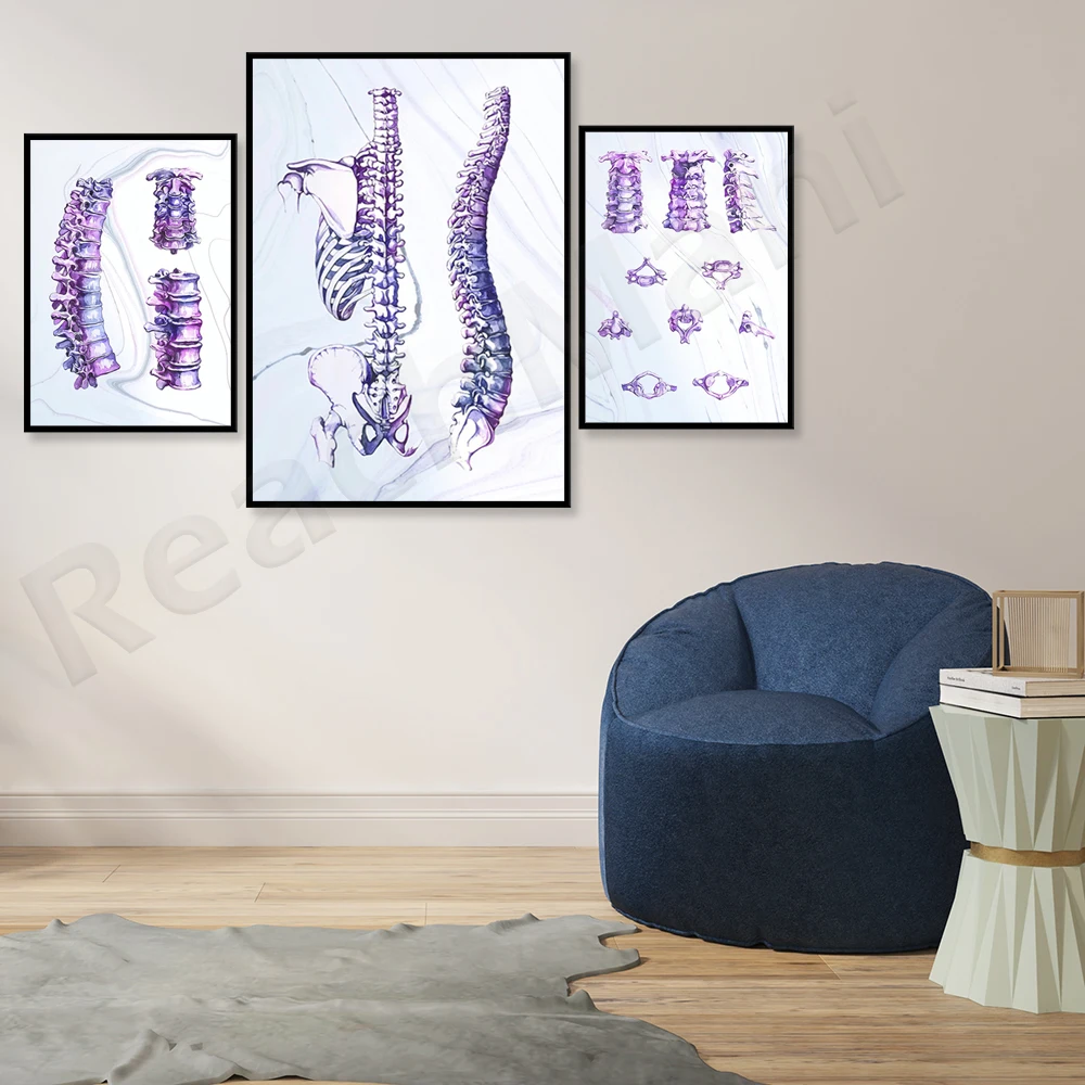 Chiropractic poster for chiropractic office art prints for chiropractic examination room decoration skeletal system art watercol