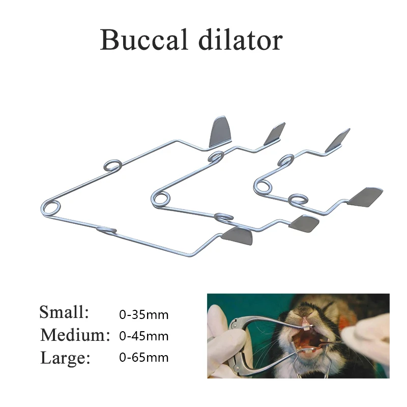 1PCS Lab Experiment Rodent Rat Rabbit Totoro Dental Instrument Extraction Forceps Tooth Elevator Pressure Plat Expansion Opening