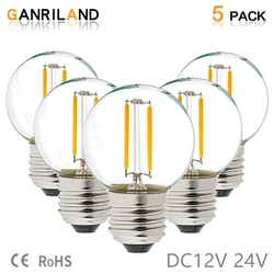 GANRILAND E26 E27 Base DC 12V 24V 1W Equal 10W Led Filament Globe Light Bulb G40 Warm White 2700K Low Voltage Retro Edison Bulbs