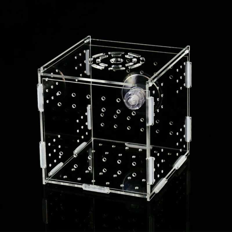 Aquarium Isolation Box Aquarium Kleine Braten Zucht Box Multifunktionale Laichen Brut Zimmer Aquarium Zubehör Fisch Supplie – Detail 5