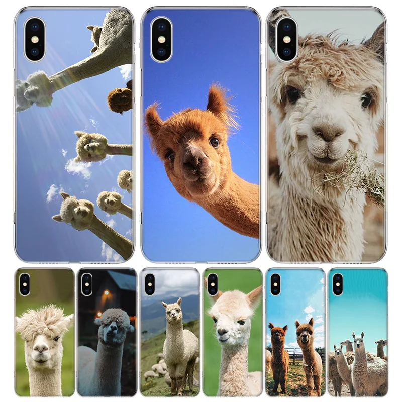 Llama Alpacas donkey Animal Phone Case For iPhone 15 + 14 11 12 13 Pro Max Xr X Xs Mini 8 7 Plus SE Soft Fundas Coque Shell