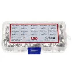 100pcs 10Kind x 10pcs 3.6*10mm 250V Double Iron Cap Axial Slow Glass Fuse With Lead Wire 0.5A 1A 2A 3A 3.15A 4A 5A 6.3A 8A 10A