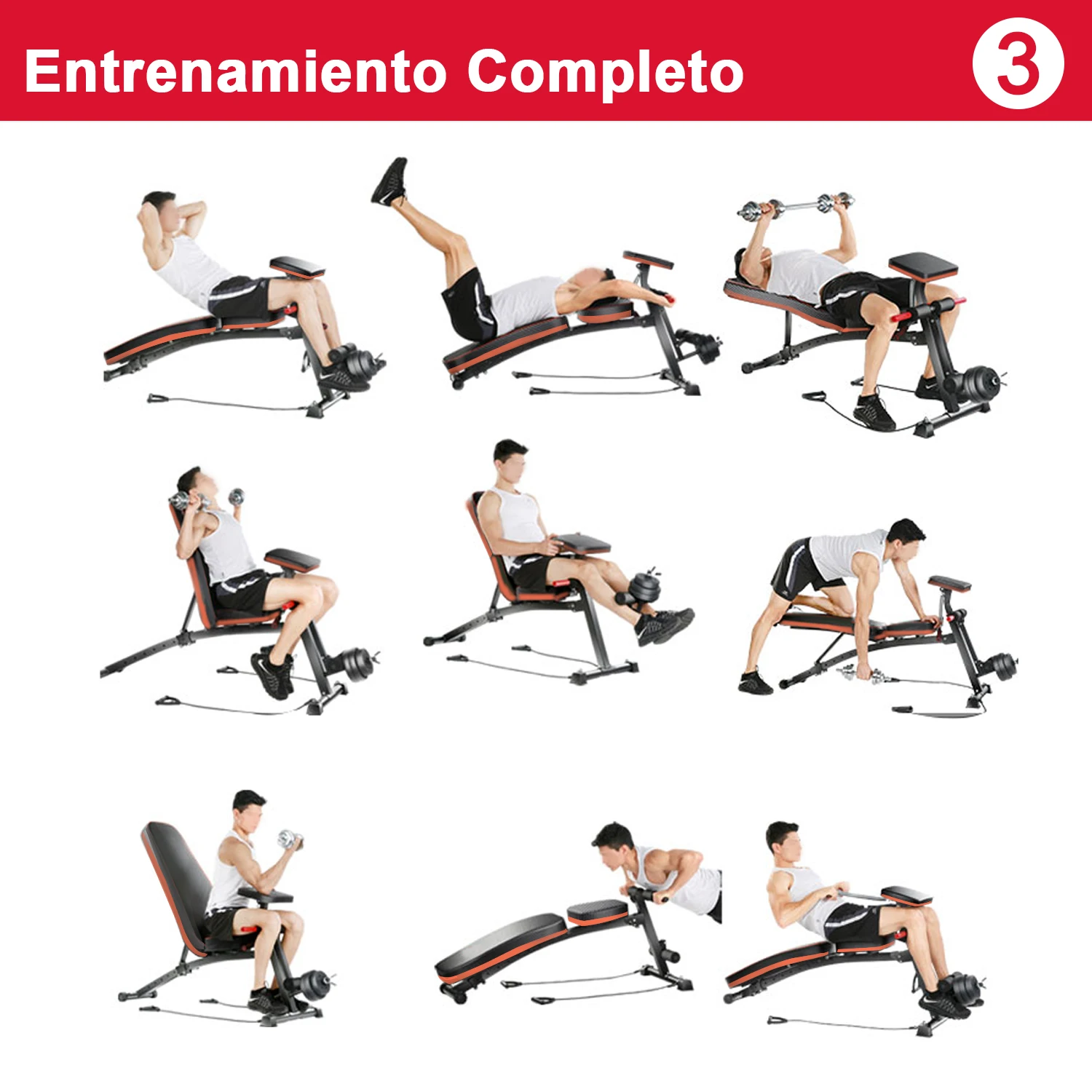 Imagen 5