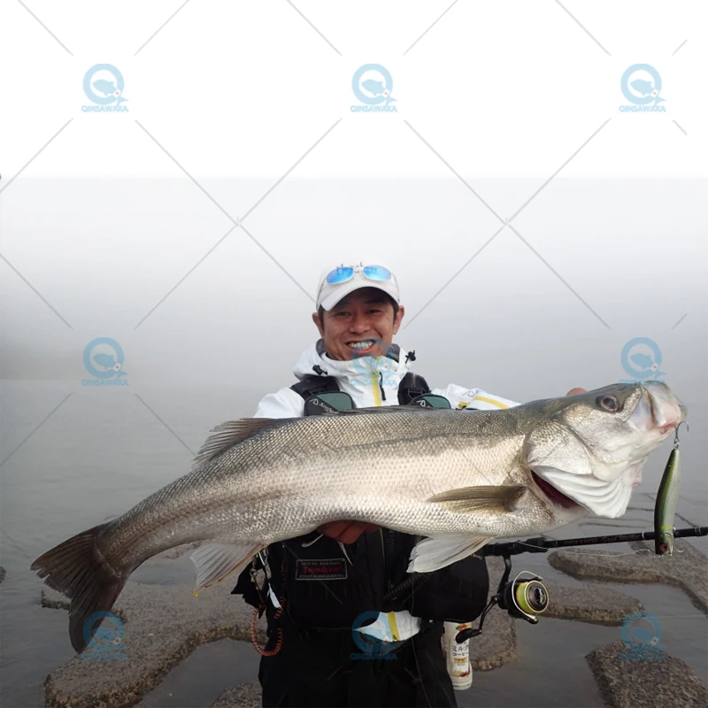 اليابان Megabass KAGELOU 100F 0.2- 0.4 متر المياه العائمة الطعم الصب الصيد إغراء البحر المياه العذبة LBO لمسافات طويلة السهام #5