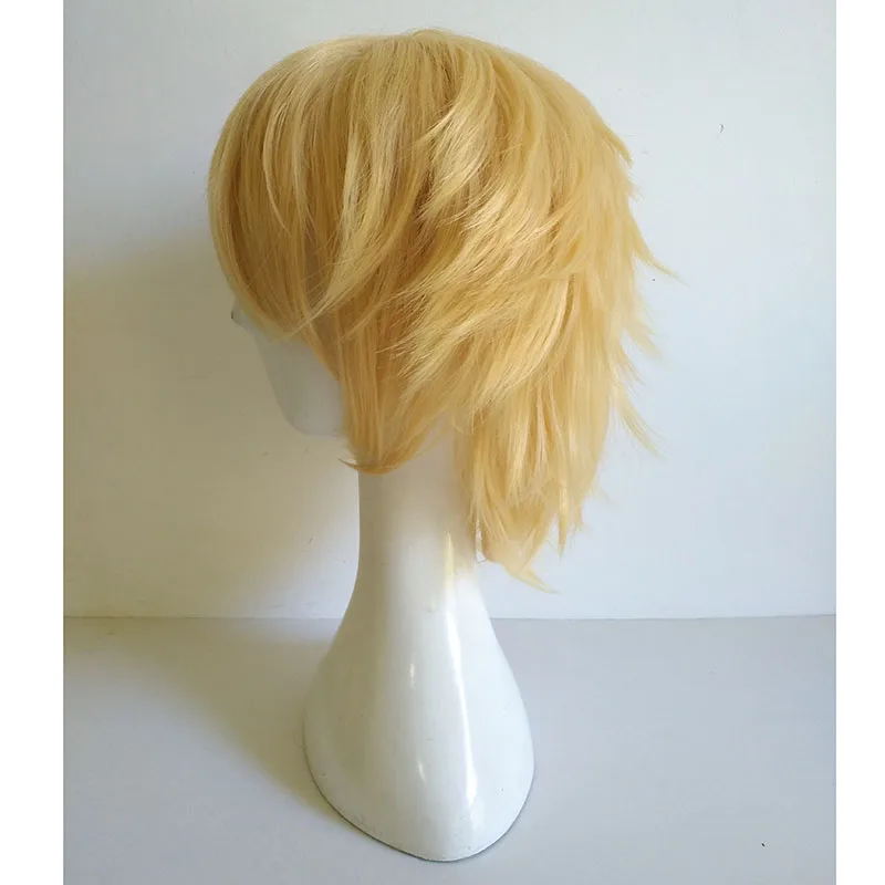 Kaichou wa Maid-sama! Usui Takumi Wig Heat Resistant Synthetic Hair Cosplay Costume Wigs + Wig Cap