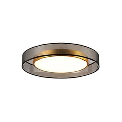 16W LED Copper Ceiling Light Bronze Color Nordic Living Room Bedroom Lamp AC85-265V Creative Modern Hotel Aisle Lobby Lighting