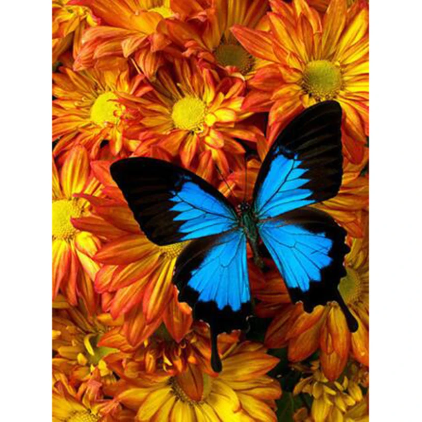 

5D DIY Diamond Painting Square/Round Diamond Animal Painting Yellow Daisies and Blue Butterflies Beautiful Pictures Cross WG3251