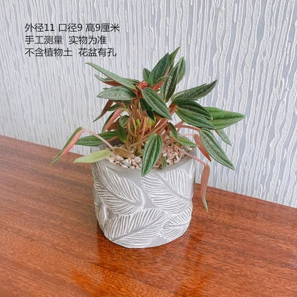 Clear Cement Planter Making Handmade Flower Pot Vase Mould DIY Resin Craft Concrete Flowerpot Silicone Molds