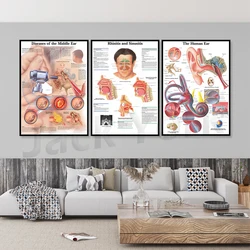 Ear, Nose and Throat(ENT) Art Poster Print Body Map Canvas Painting Wall Pictures for Medical Education Home Decor