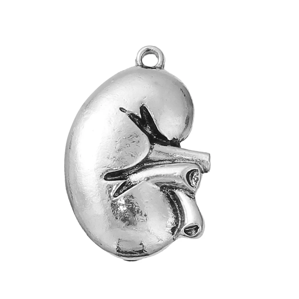 DoreenBeads Zinc Based Alloy 3D Pendants Silver Color Anatomical Human Kidney Charms Pendants 28mm(1 1/8