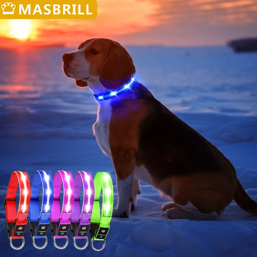 MASBRILL Light Up ปลอกคอสุนัขกันน้ำ USB ชาร์จเรืองแสงกลางคืนไนล่อนส่องสว่าง LED ปลอกคอสัตว์เลี้ยง