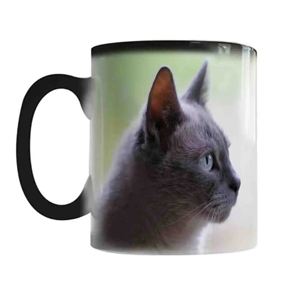 Cat Lover Gift Mug 11oz Ceramic Magic Color Changed Coffee Cup Heat Sensitive Magic Tea Cup Surprised Gift