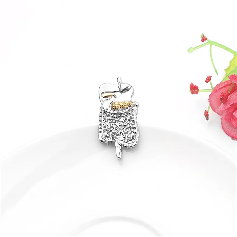 Bowels شكل بروش الذهب والفضة اللون المعدة دبوس المجوهرات الطبية للطبيب ممرضة علم الأحياء الطبية المتدرب هدية