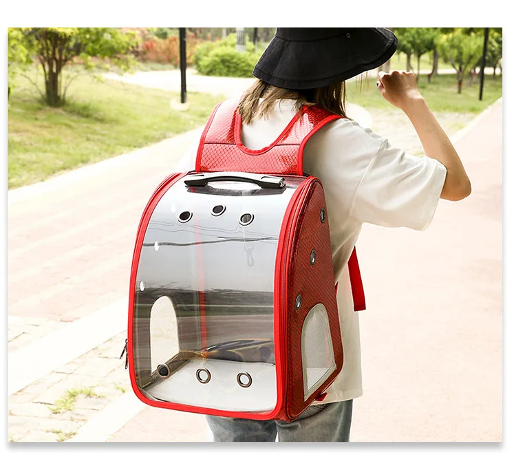 Pet Trolley Backpack Carrier For Cat Portable Outside Transparent Cat Carrier Both Shoulders Knapsack Ventilation Draw Bar Box