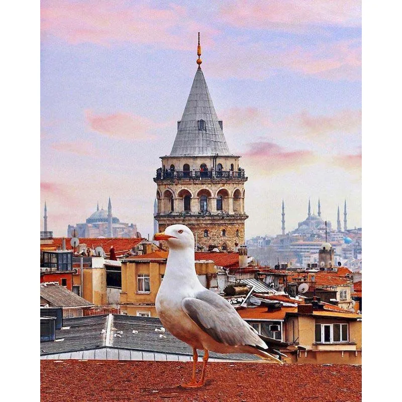 World Peace Dove Landscape 5D Diy Diamond Painting Full Square Round Drill Diamond Embroidery Pictures Rhinestones MosaicZP-4577