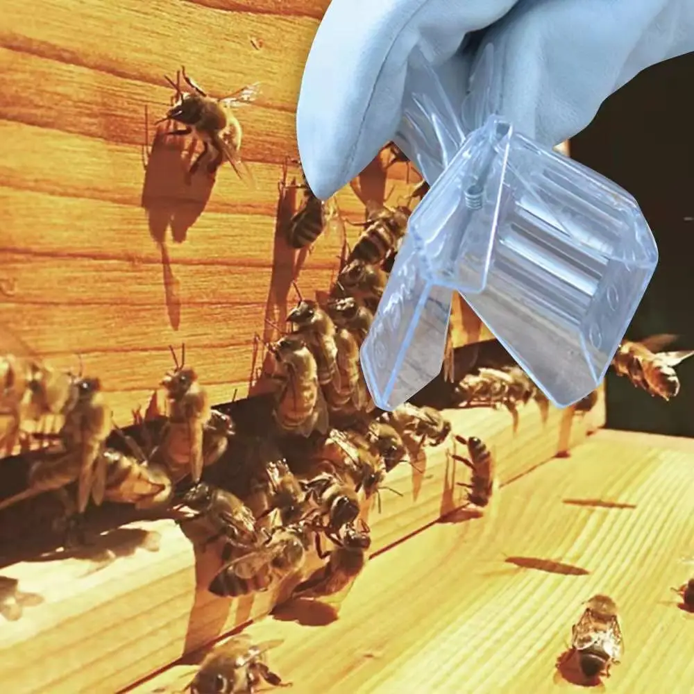 Przeźroczyste tworzywo sztuczne pszczelarstwo klip królowa Bee Catcher klatka na sprzęt pszczelarski pokój izolacyjny Insectary Box pszczelarz