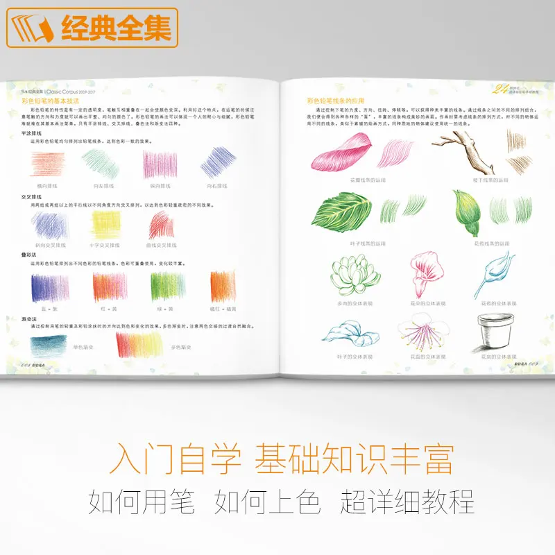 New Color Pencil Drawing Art Book 24 Kinds of Flowers Super Detailed Colored Pencil Hand-painted Tutorial Book