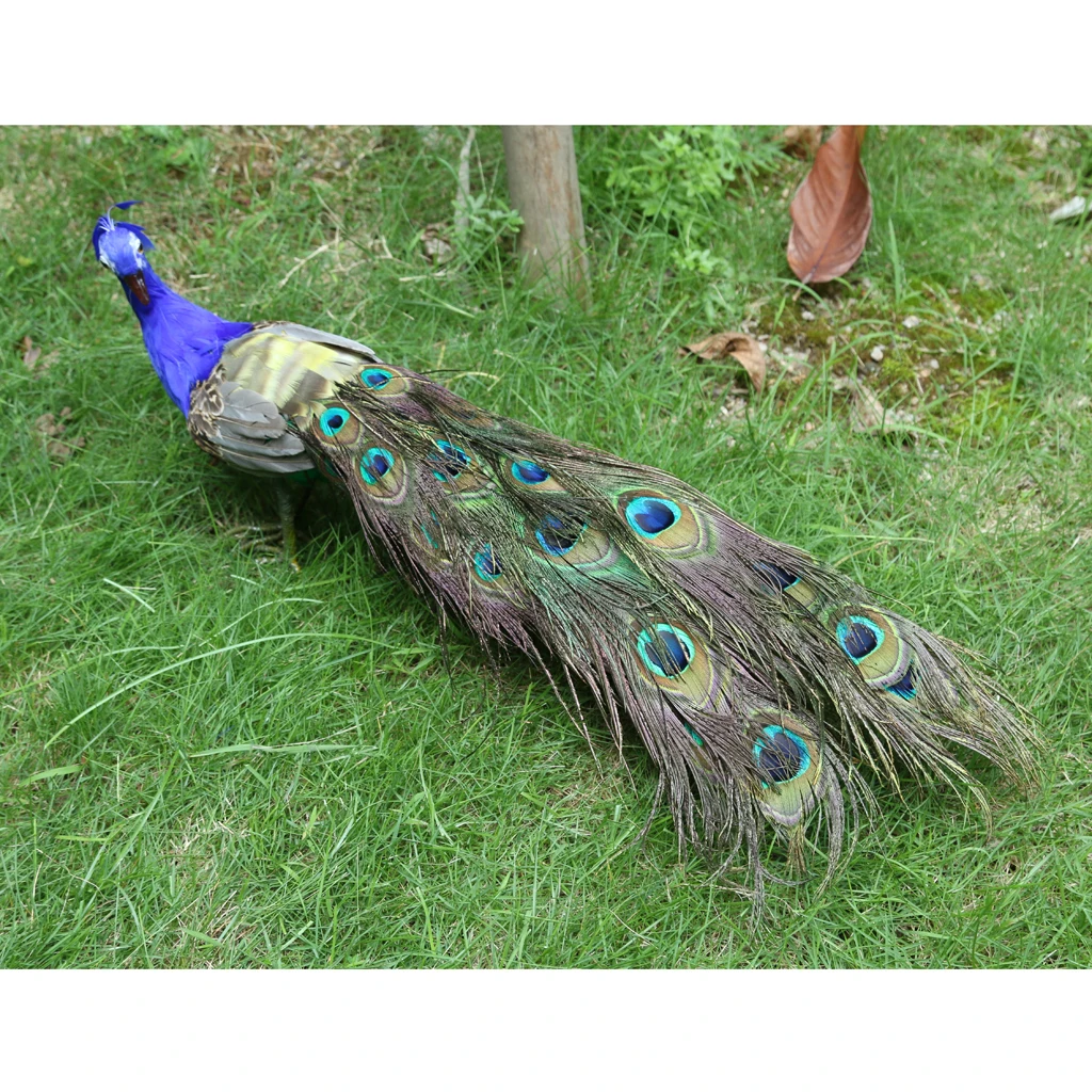 Artificial Peacock 50cm Long Tail Peacock Bird Model Garden Landscape Animal Ornaments Peacock Handicraft Patio Decoration Gift