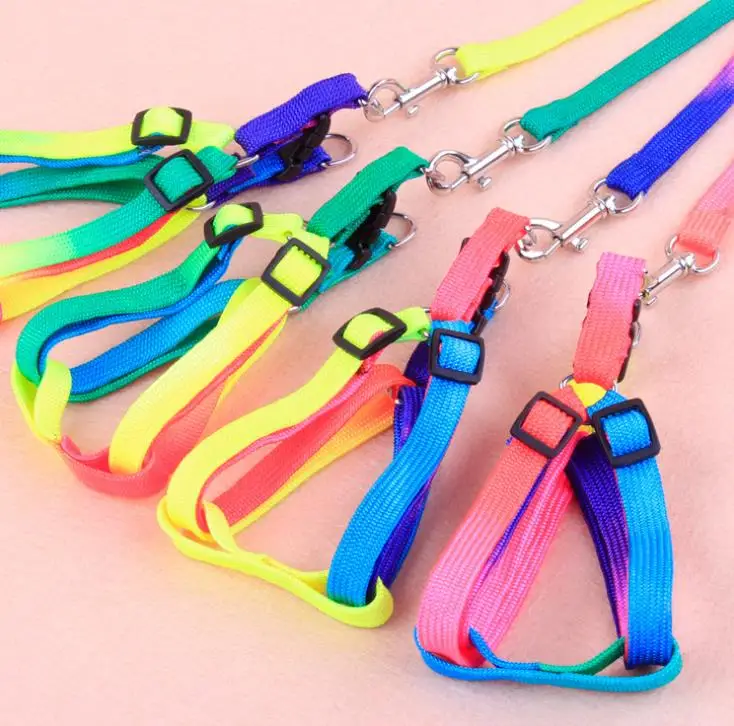 500pcs Adjustable Colorful Dog Puppy Cat Rabbit Kitten Harness Small Pets Collar Leash lead Pet Supplies SN3266