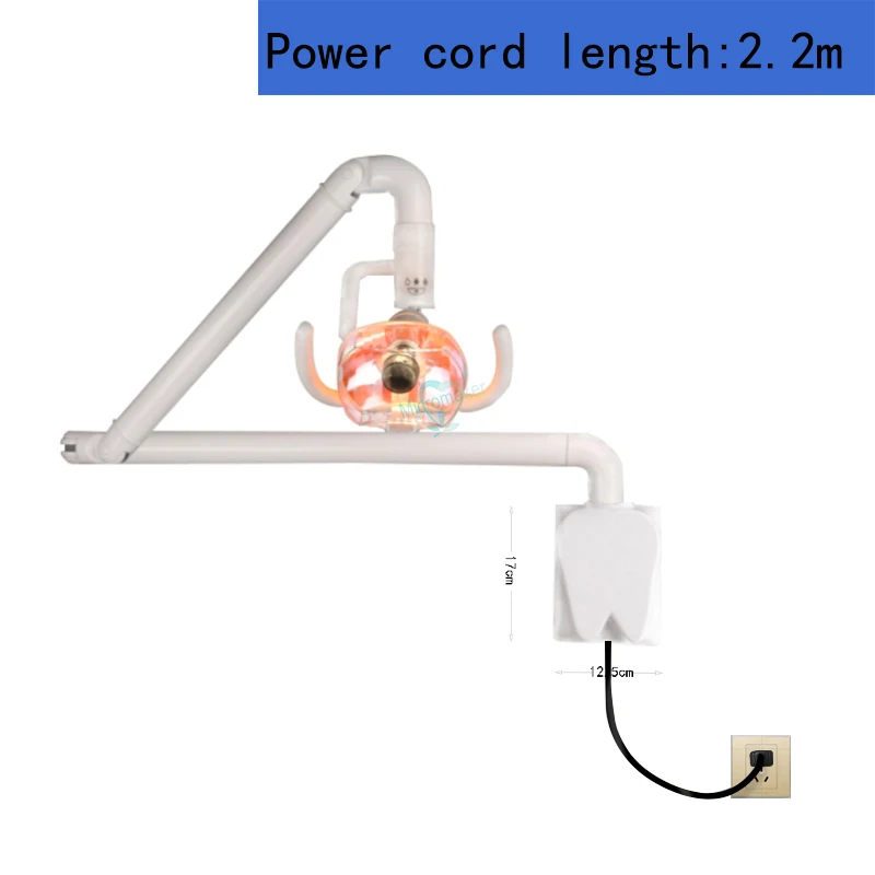 1set Dental Oral lamp+Wall-Mounted LED Oral Light Arm For Pet Shop Beauty Tattoo Lamp Surgical Examination Lamp Shadowless lamp