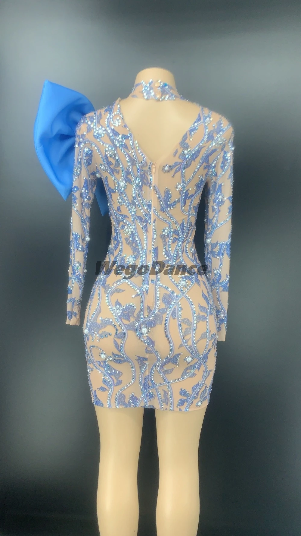 Prom Dress Flower Pattern Rhinestones Pearl Bow Transparent Short Birthday Women Dancer Costume