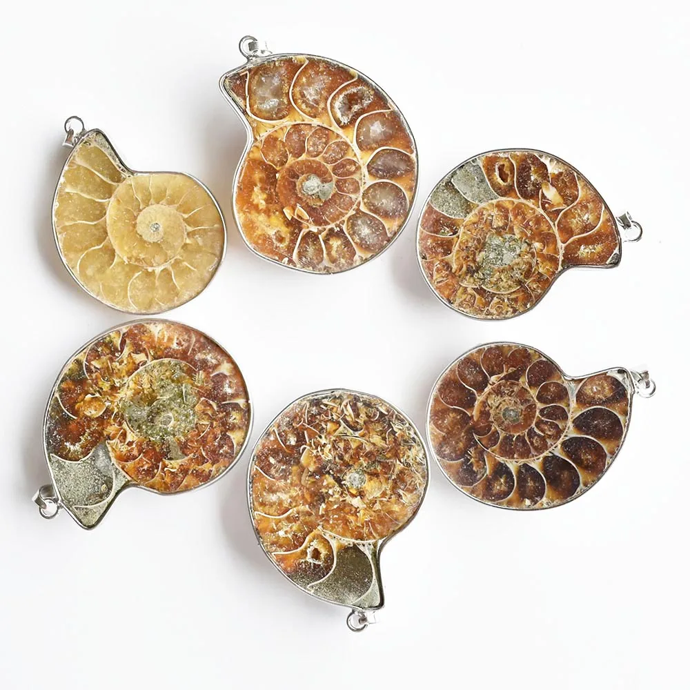 Wholesale 6pcs/lot fashion Natural Stone Ammonite Snail shell Conch  pendants for jewelry Accessories making free shipping