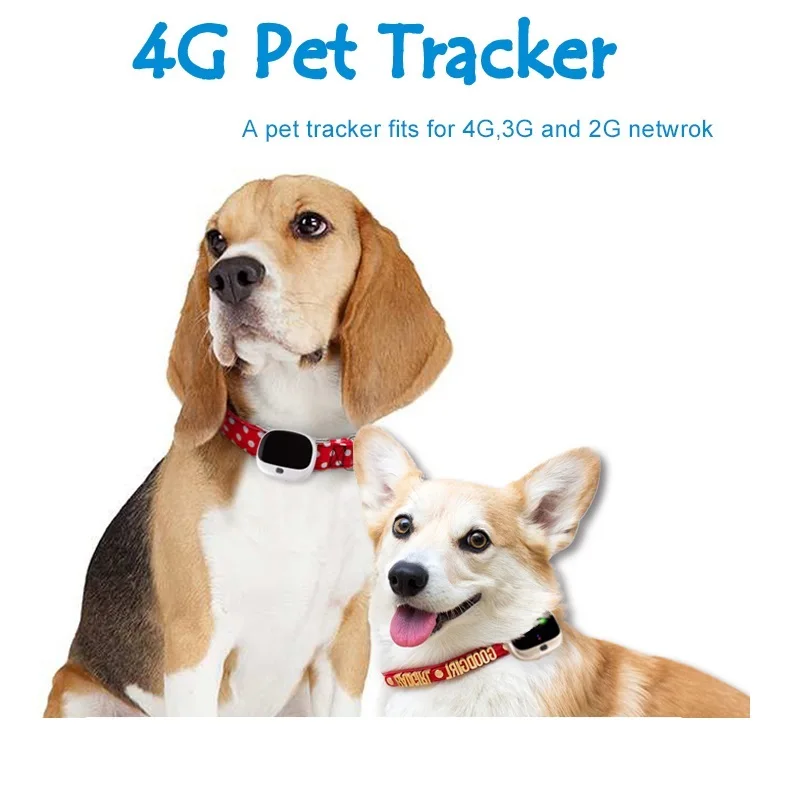 4G Hot-selling Pet Positioning Collar cat Dog GPS Tracker RYDV43