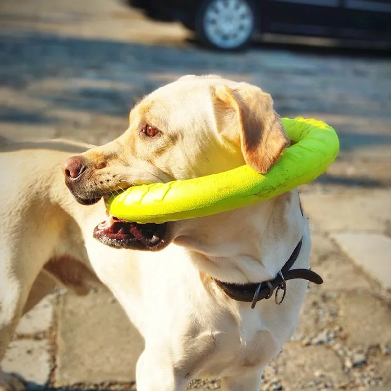 Pet Flying Discs EVA Dog Training Ring Puller Resistant Bite Floating Toy Puppy Outdoor Interactive Game Playing Products Supply