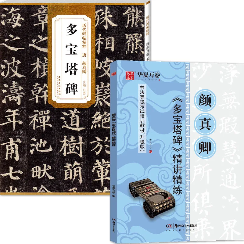 Copybook Beginner 2pcs Yan Style Regular Script Calligraphy Practice Book the Rubbing Copybook from Stone Inscription Caligrafia