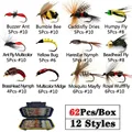 62Pcs