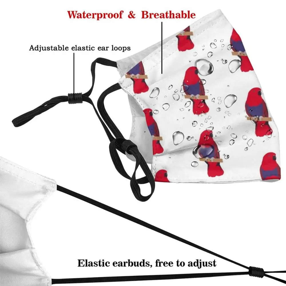 Ecectus 앵무새 초상화-여성 마스크 천 세척 가능 DIY 필터 Pm2.5, 성인 키즈, ecectus 앵무새 초상화, Zookeeper Female