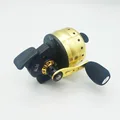 BL30-gold-1