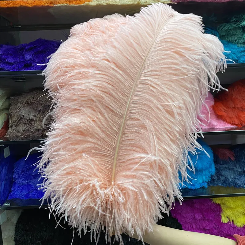 

Wholesale 50pcs/lot Beautiful Ostrich Feather Accessories Craft Carnival Wedding Dancers Plume Plumas De Faisan