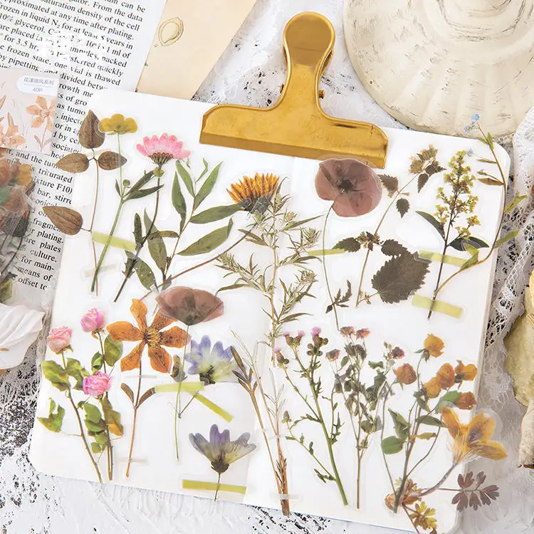 Flower PET Sticker Bag Retro Small Fresh Flower Plant Transparent Waterproof Daisy Hand Account Decoration Material