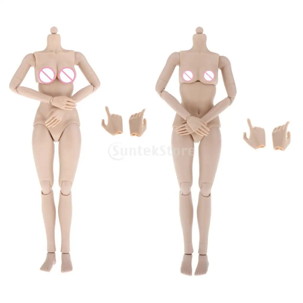 2pc 1/6 Flexible Female Body Figures Toy Normal Skin for TTM18 TTM19