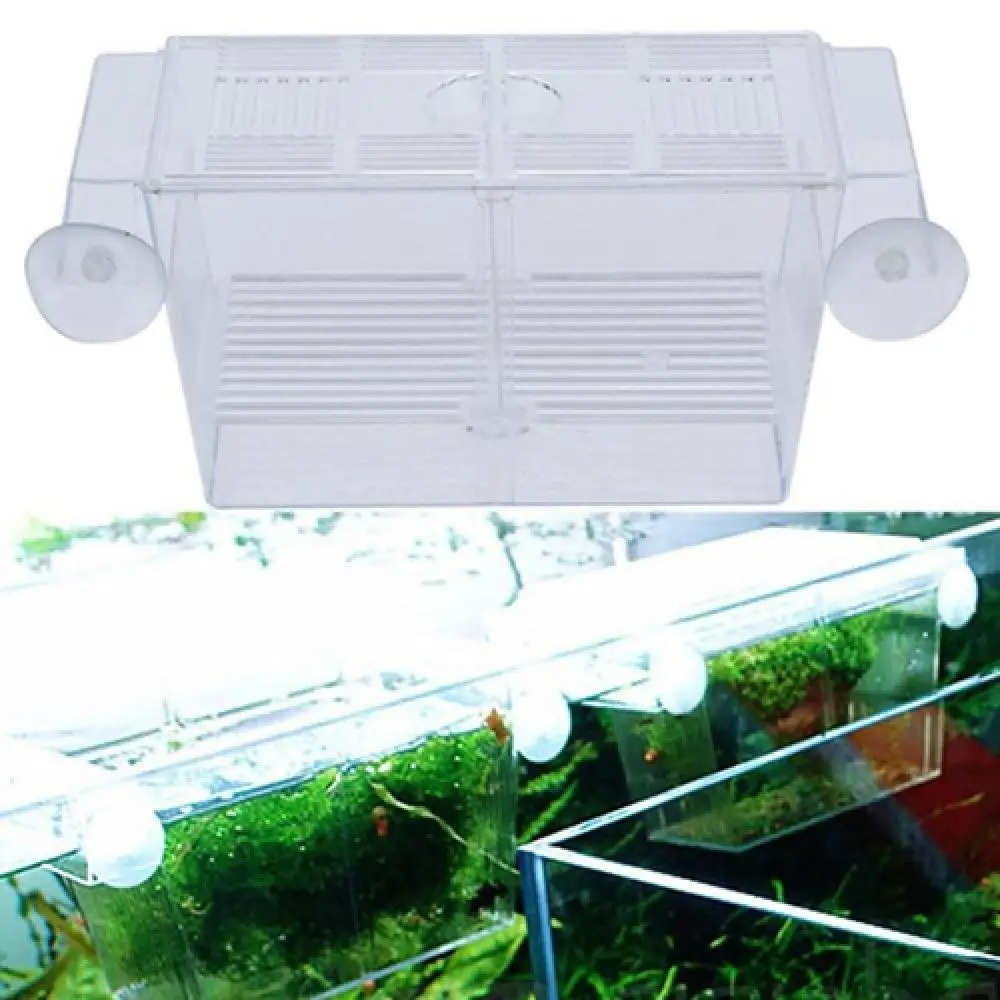 Transparent Aquarium Fish Tank Double Breeding Breeder Rearing Box Hatcheries Fish Aquatical Pet Supplies