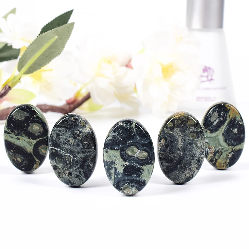 Natural Kambaba Jasper Worry Palm Stone Mineral Quartz Slice Chakra Set Reiki Healing Energy Power Meditation Spiritual Growth