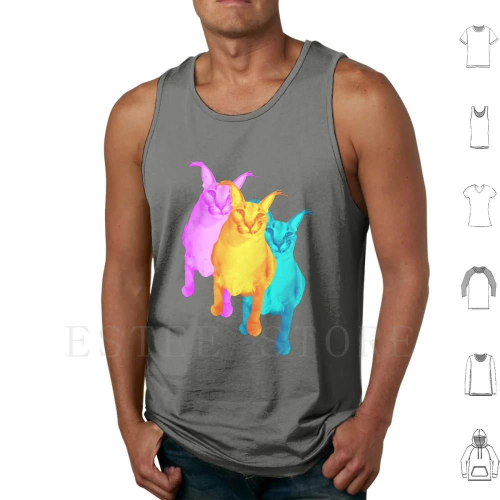 Camisetas sin mangas Floppa coloridas, chaleco de algodón Floppa Floppa Meme Big Floppa Meme Big Floppa Caracal Meme Gold Cian Pink Smile