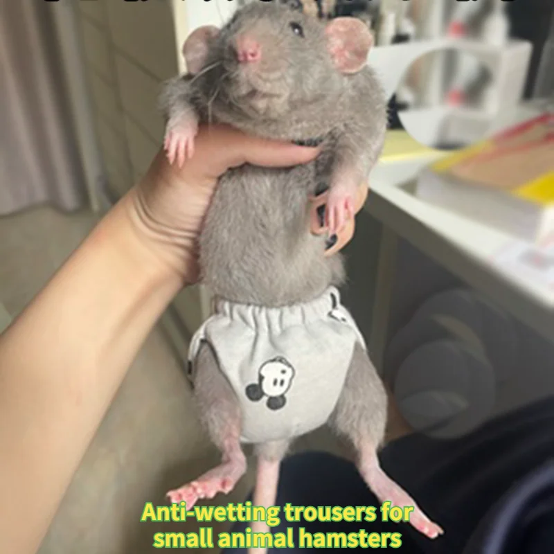 Small Animals Hamster Clothes Pet Diaper-proof Pants Diapers Chipmunks Guinea Pigs Squirrels Chinchillas Chinchillas Supplies