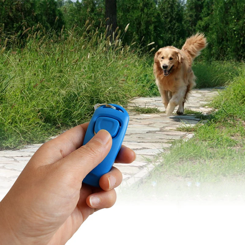 New 2 In 1 Cute Shape Dog Whistle Clicker Pet Dog Trainer Aid Guide With Key Ring Dog Training Whistle Dog Products Pet Supplies