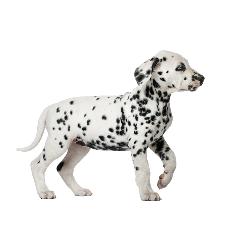 Three Ratels QC388 HD pixel cute Dalmatians Waterproof dog sticker Vinyl auto Wrap for car hood laptop home decoration decals