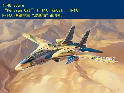 Hobbyboss 81771 1/48 scale Persian Cat F-14A TomCat - IRIAF Fighter 2019 New MODEL KIT