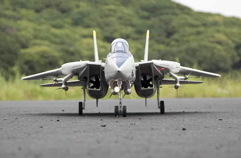Freewing Dual 80mm EDF RC Airplane Jet Model F-14 Tomcat with Variable Sweep Wing KIT with servos or 6S PNP SET TWINS 80 EDF