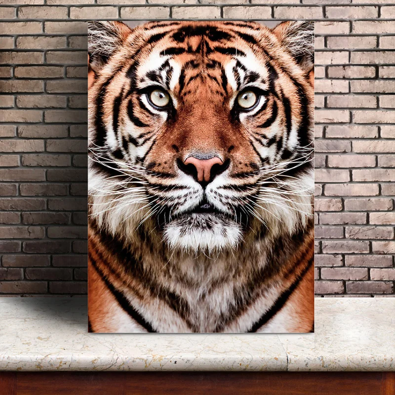 5D Black White Tiger 5d diy diamond painting cross stitch full drill mosaic animal diamond embroidery living room decorZP-3784