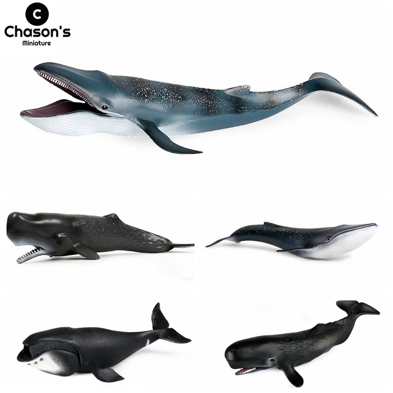 Miniature Great White Shark Blue Whale Ocean Marine Animal Toys Statue Figurines Figures Model Aquarium Decoration Ornaments