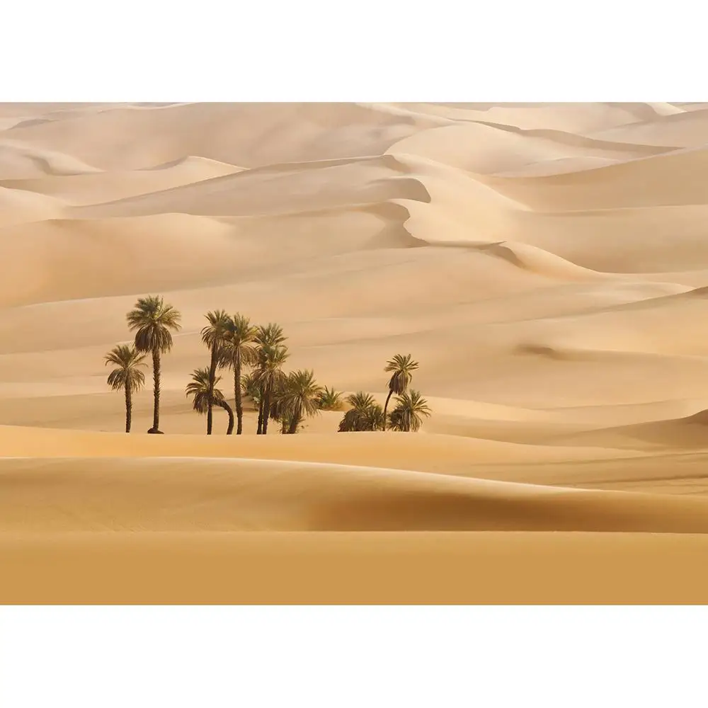 Trees Desert Photo Backdrop Vinyl Cloth Fond Scenic Photography Background Studio for Children Baby Portrait Photophone Props