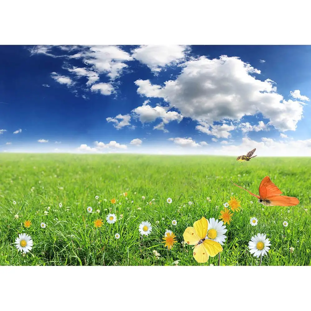 Grassland Flowers Butterfly Sky Cloud Photographic Backgrounds Vinyl Cloth Backdrop Photo Studio for Children Baby Photoshoot