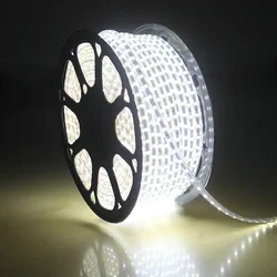 LED Strip 220v Waterproof Rgb Led Tape Warm White Blue Led Ribbon 220 White Led Strip Light 50M 60M 70M 80M 90M 100M Led Lights